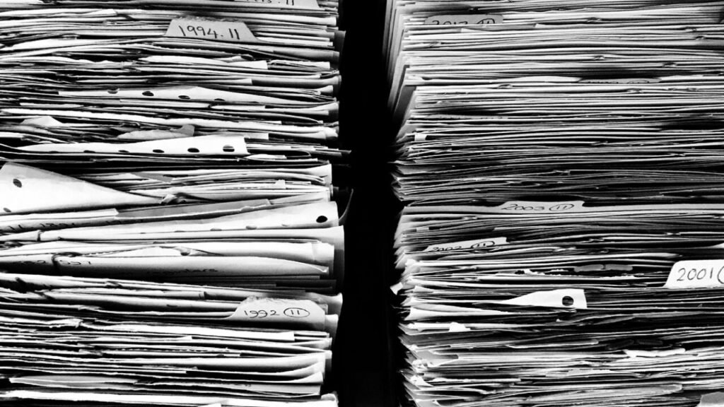 Umowa adopcyjna psa osoba prywatna – darmowy PDF łatwy